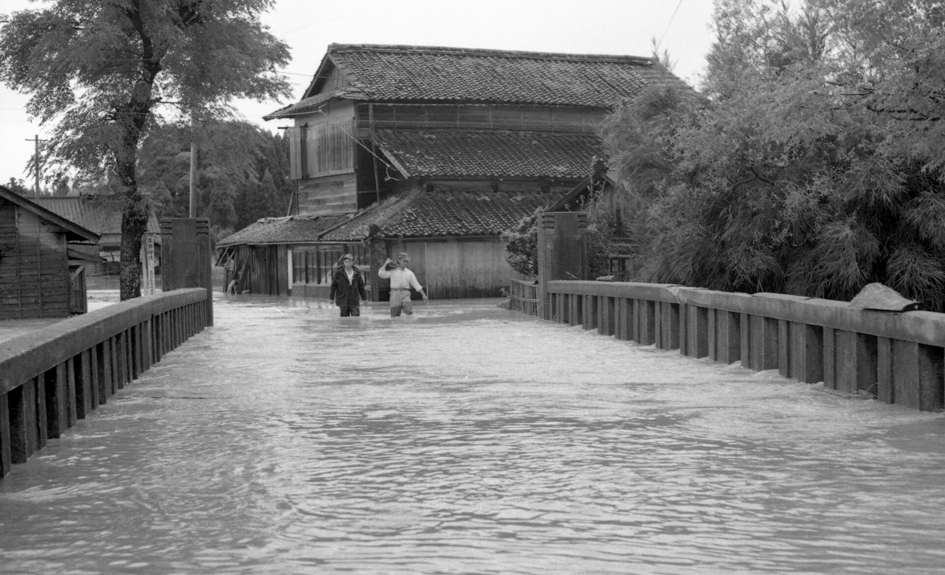 冠水