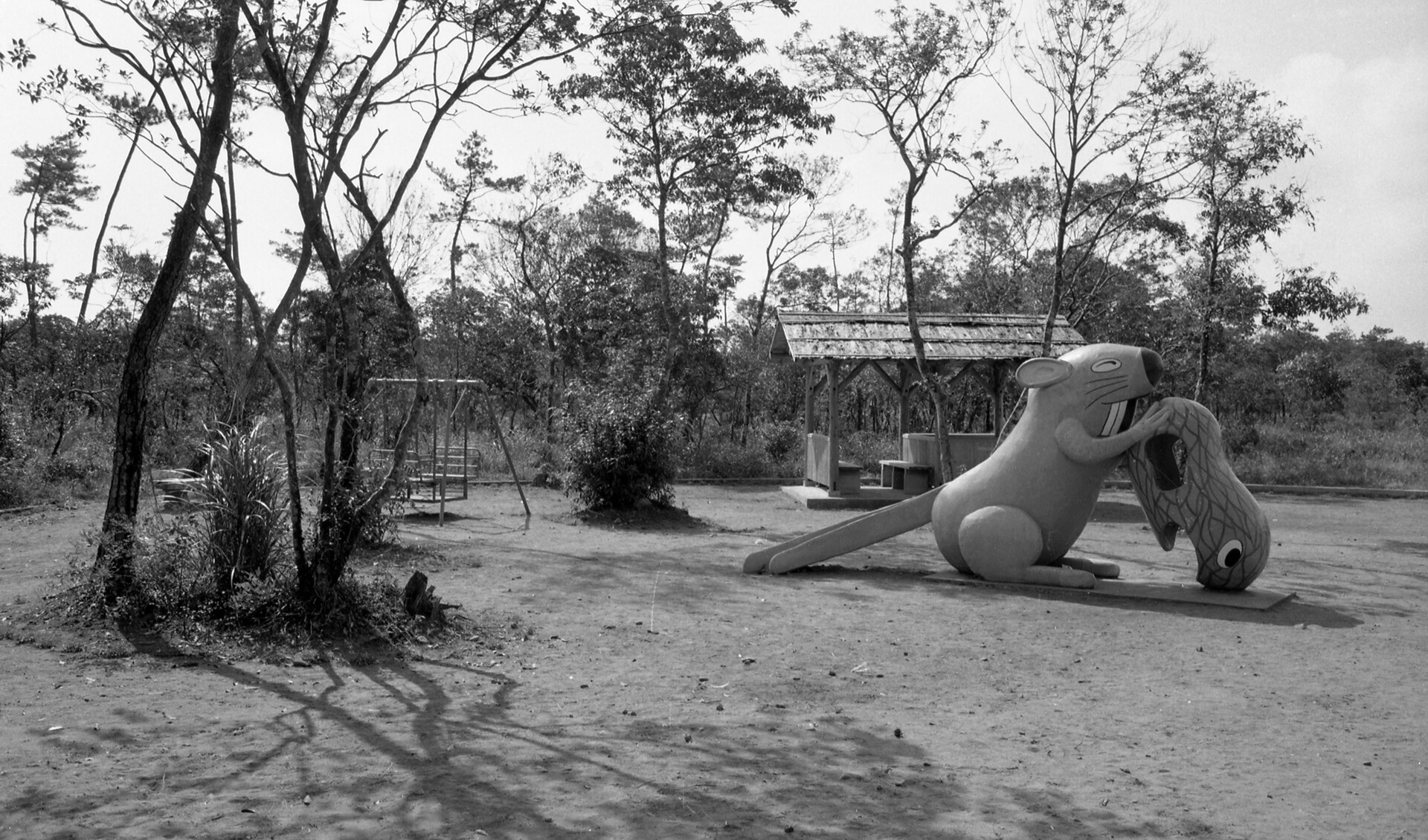 阿波岐原森林公園 市民の森