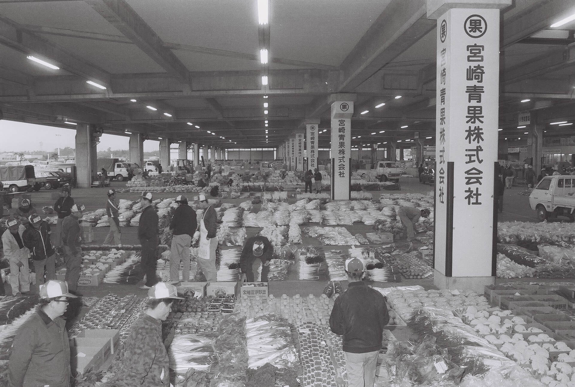 宮崎中央卸売市場