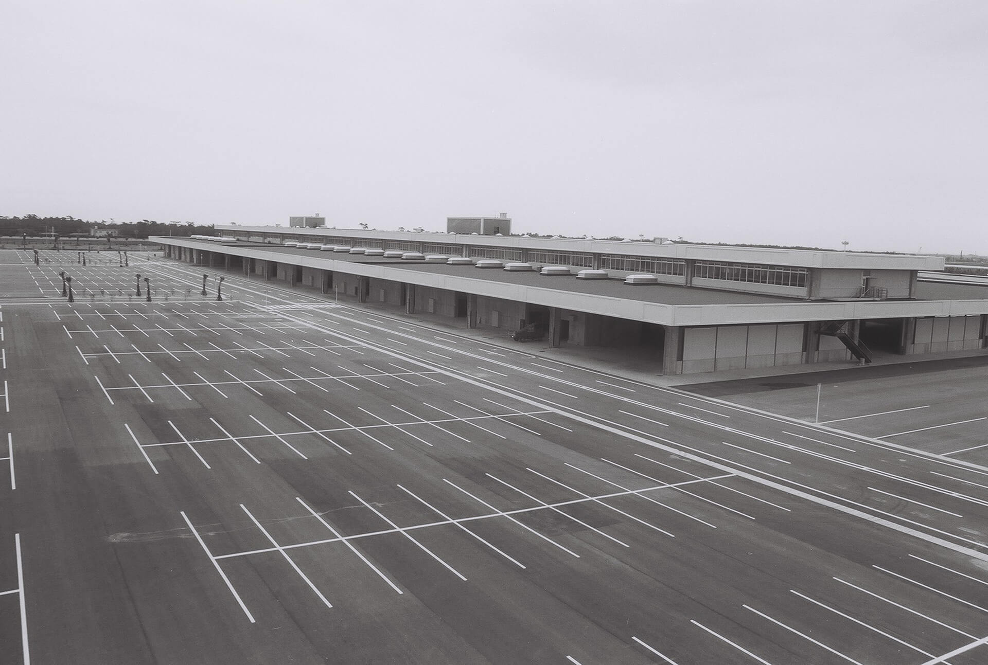宮崎市中央卸売市場