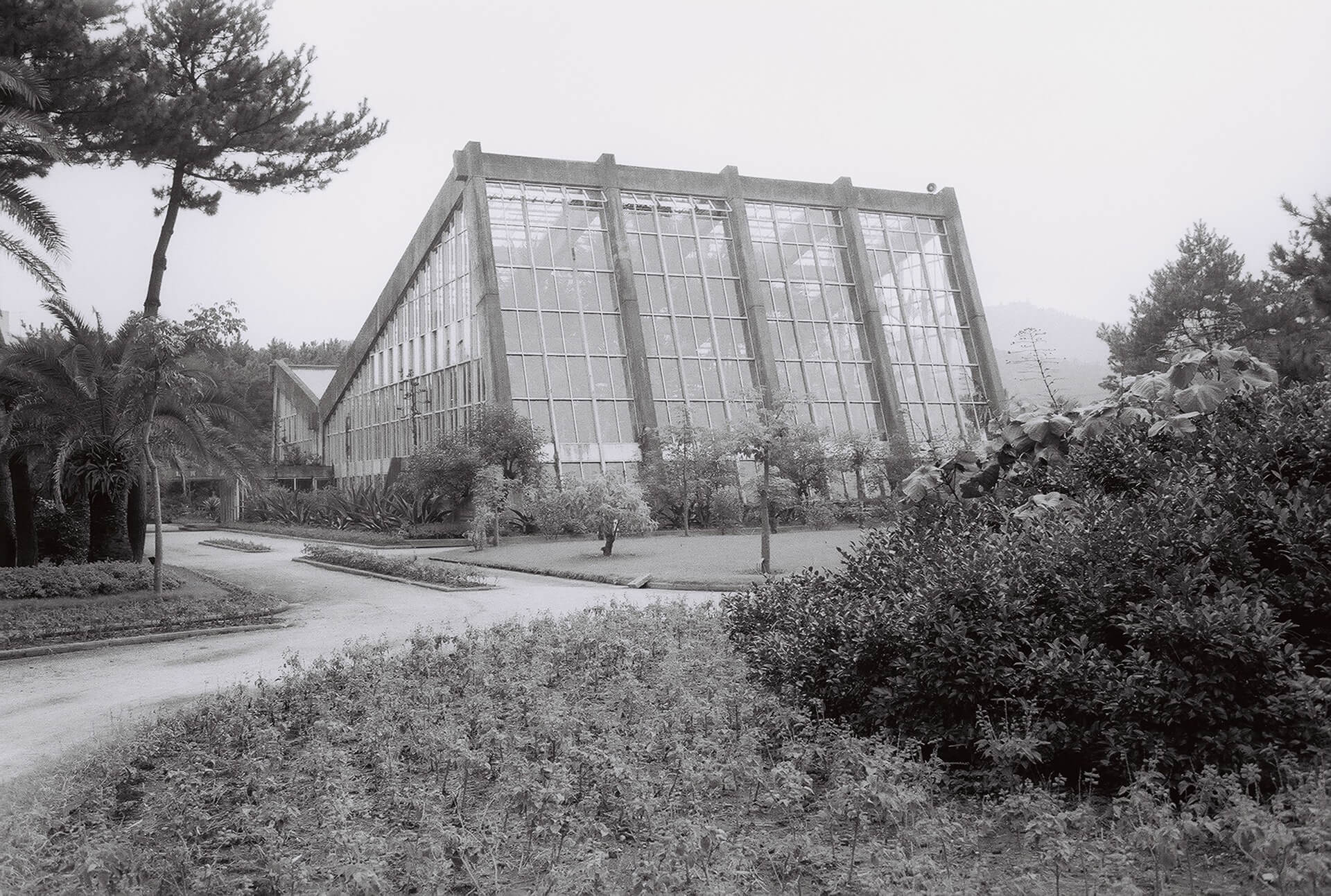 青島亜熱帯植物園