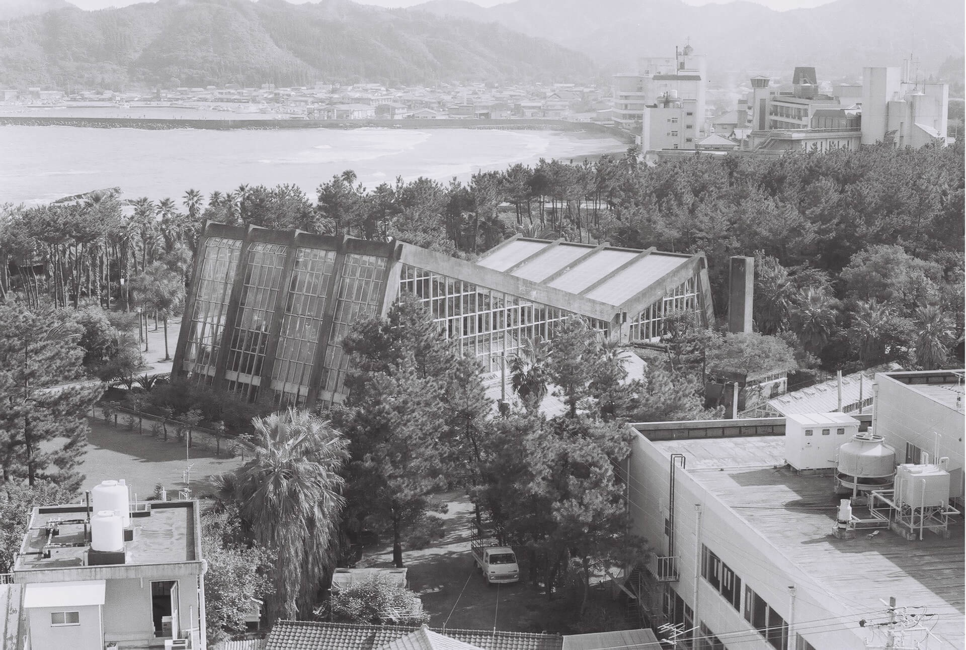 青島亜熱帯植物園
