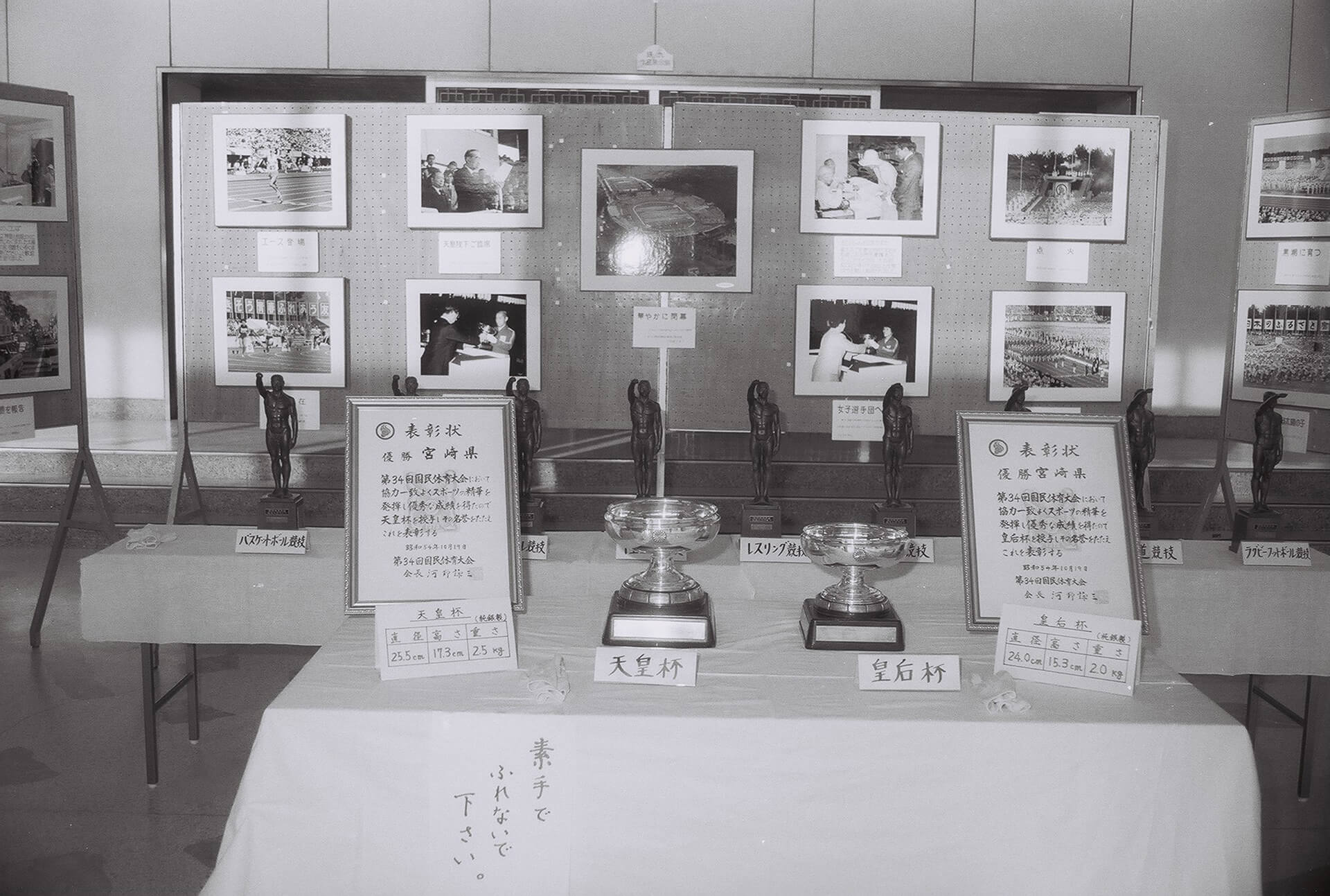 国民体育大会
