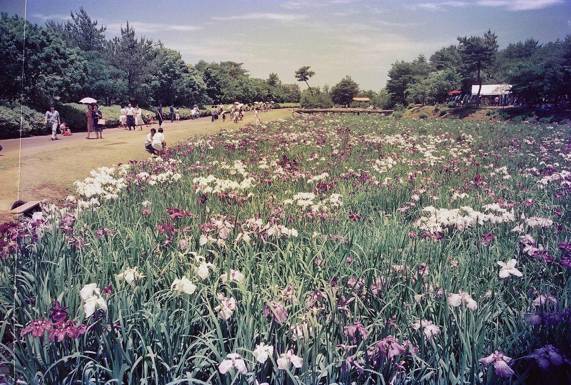 市民の森