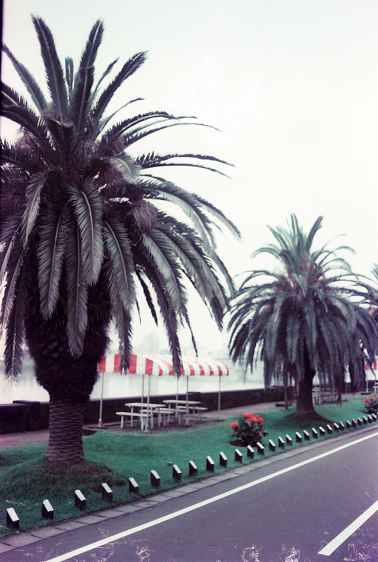 橘公園