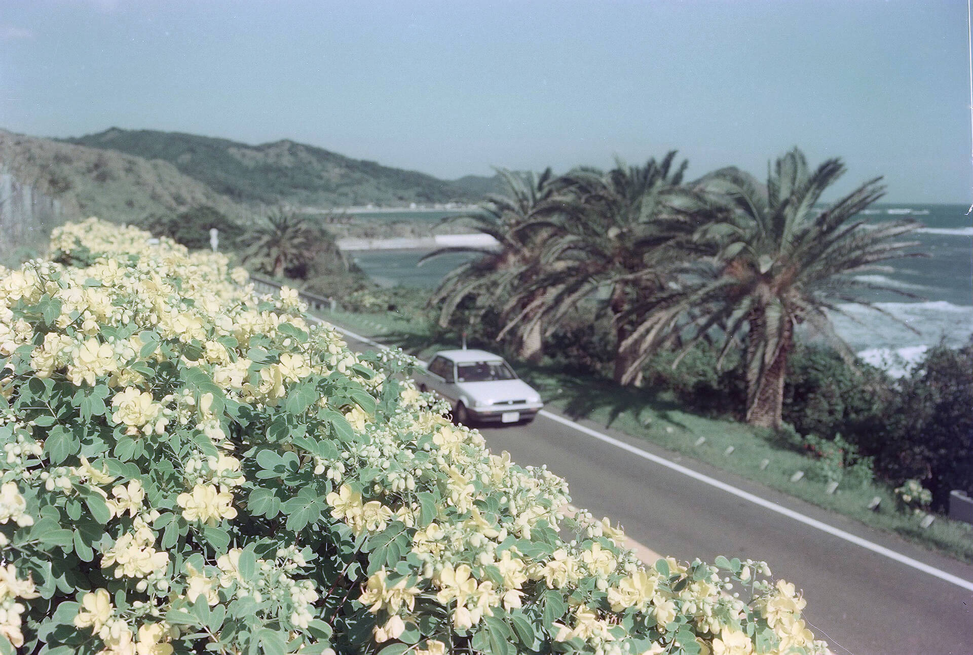 日南海岸