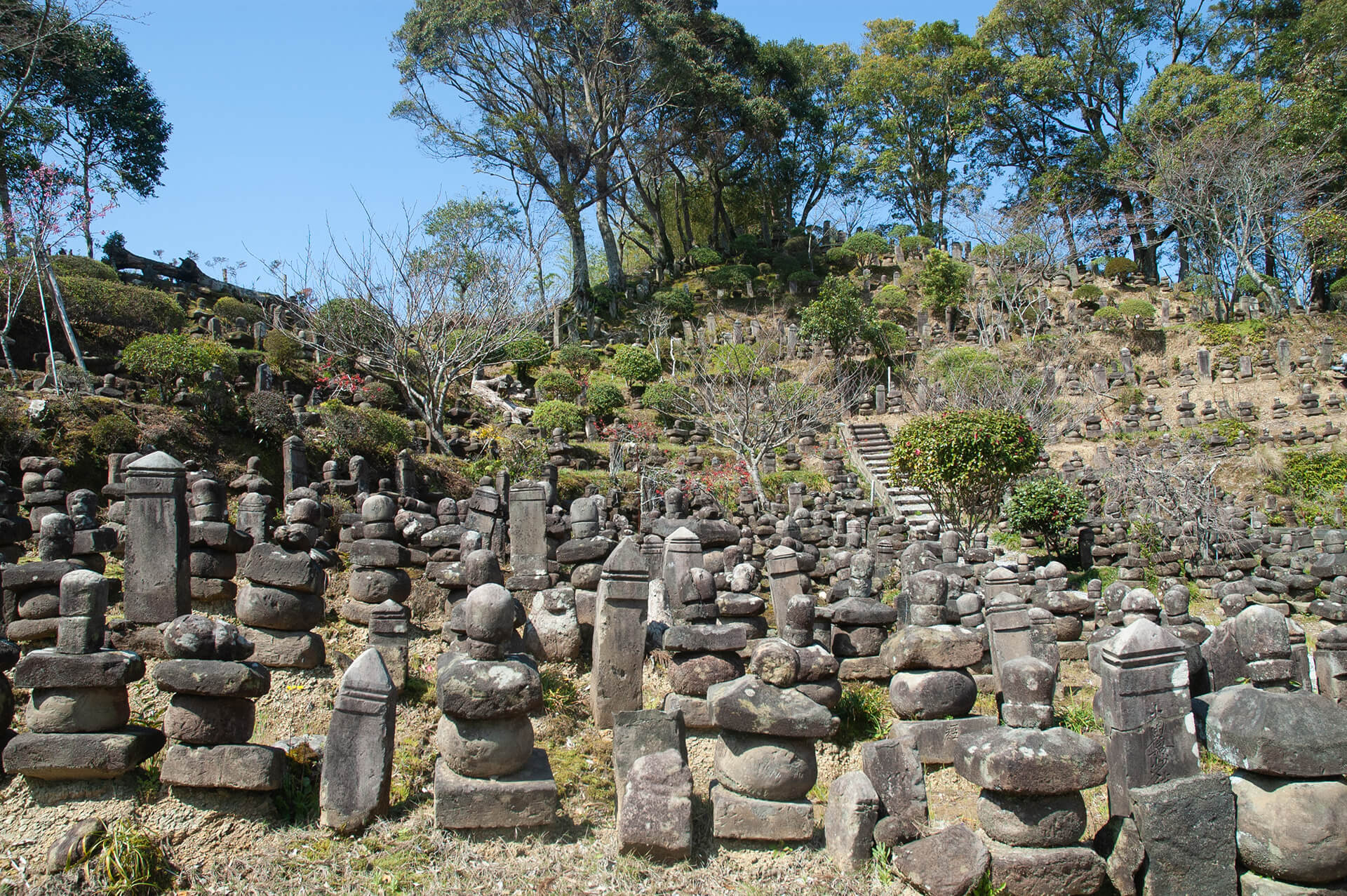 妙円寺跡石塔