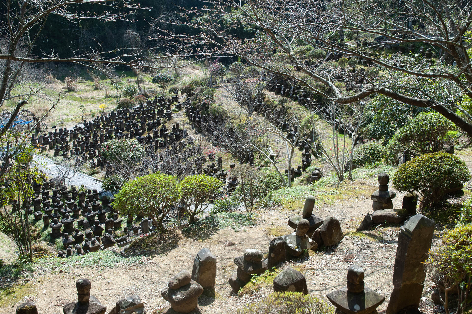妙円寺跡石塔