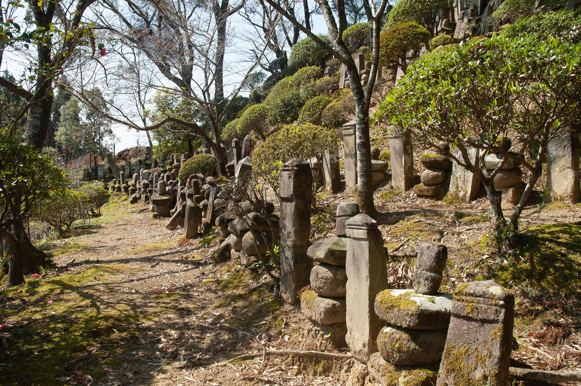 妙円寺跡石塔