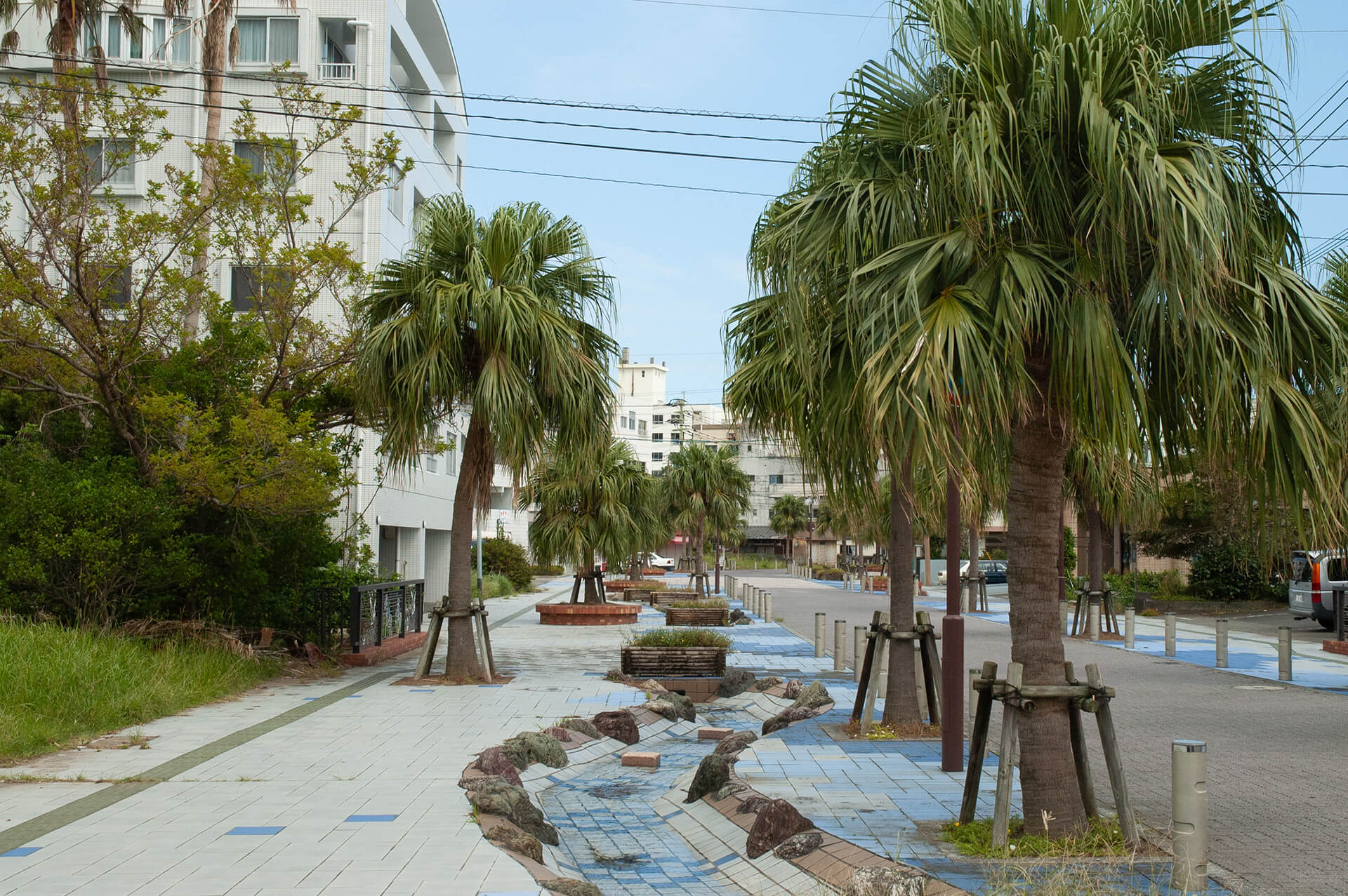 青島