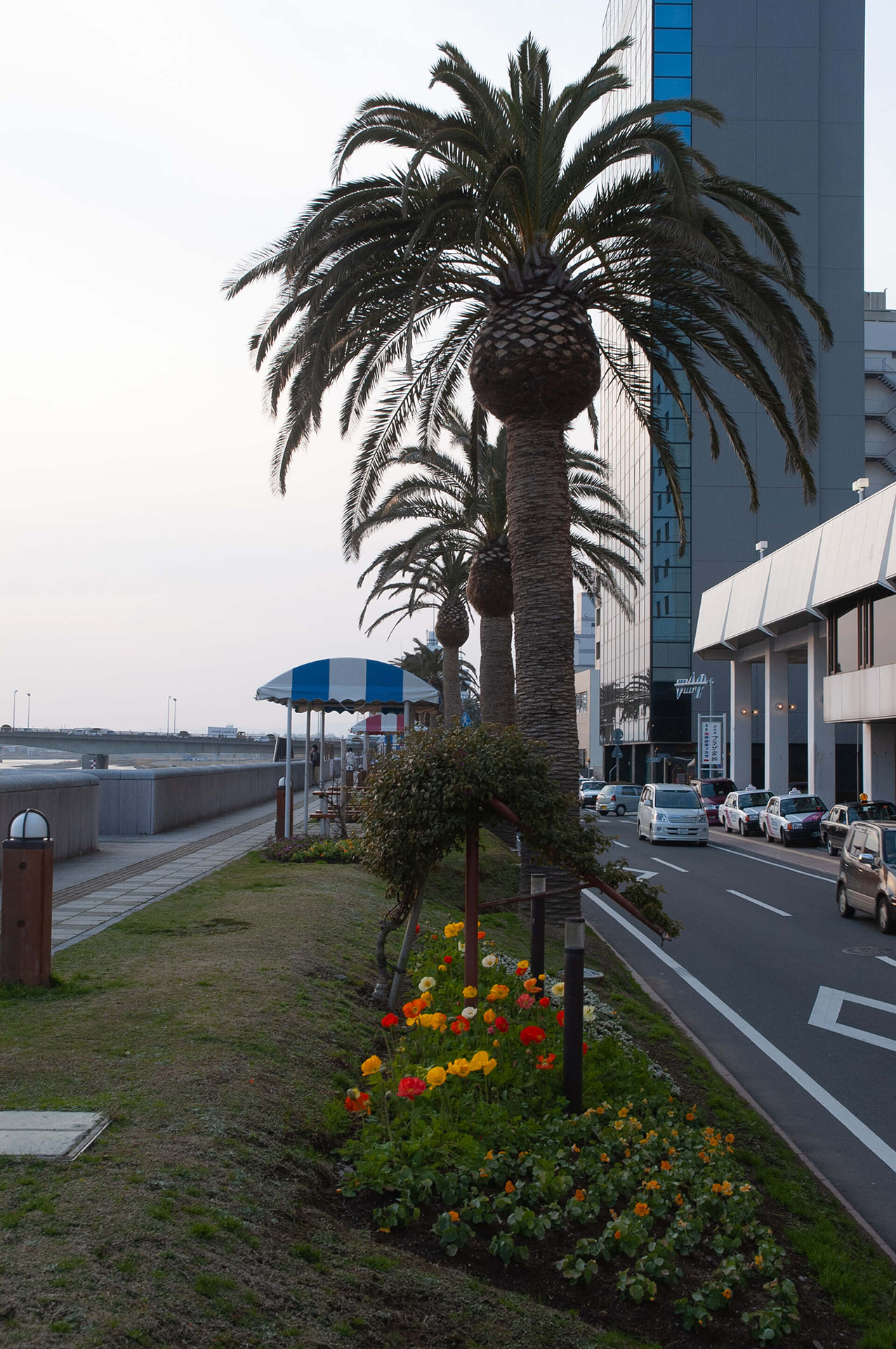 橘公園(夕景)