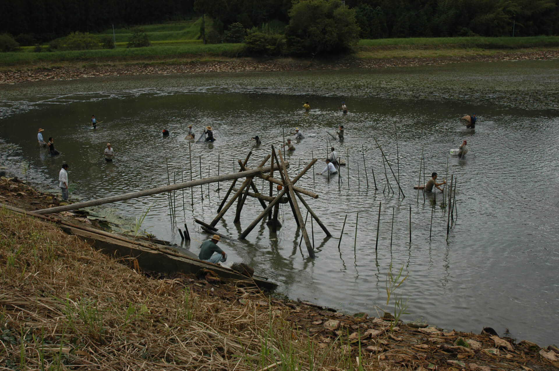 高岡(冷窪池)