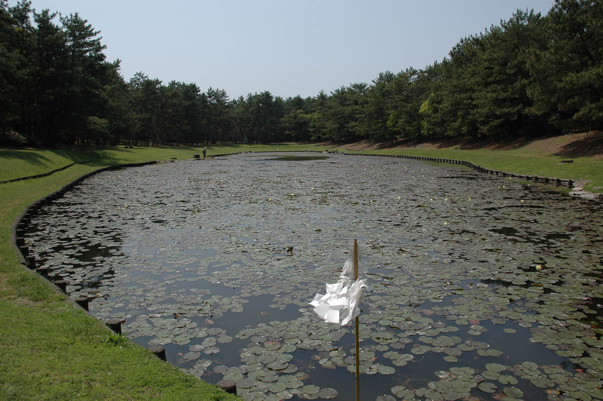 阿波岐原(みそぎ池)
