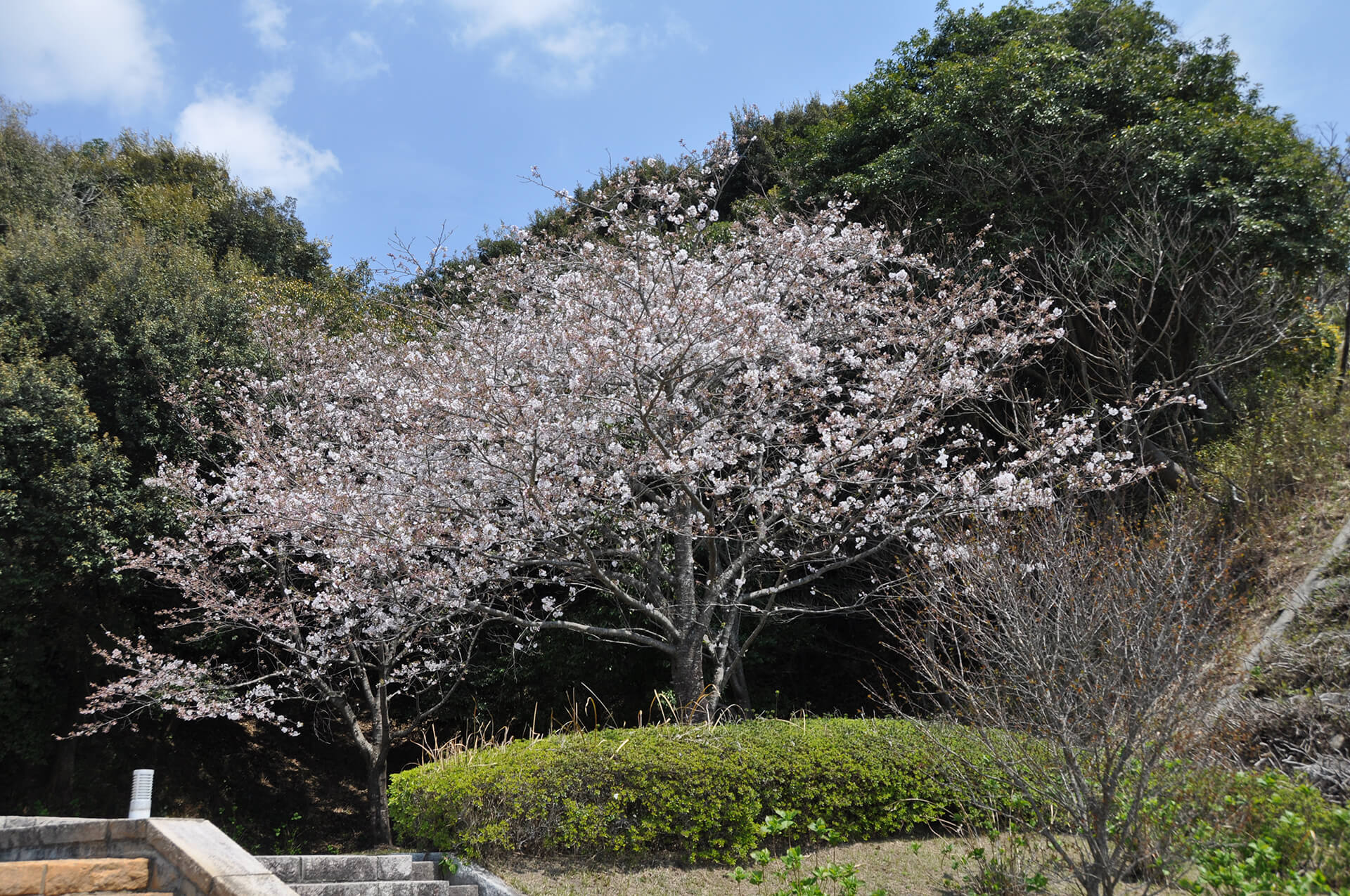 久峰総合公園（佐土原）