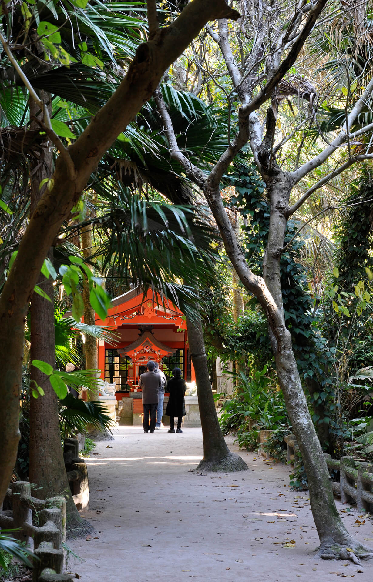 青島神社