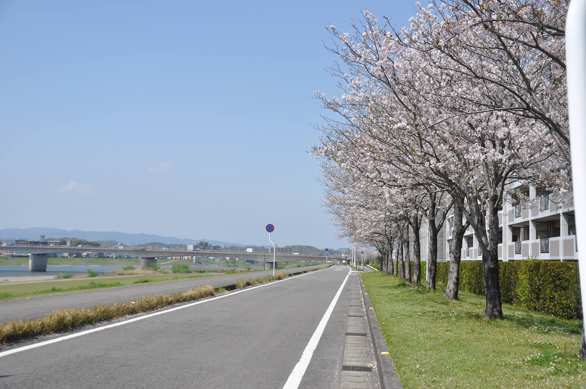 大淀川河川敷
