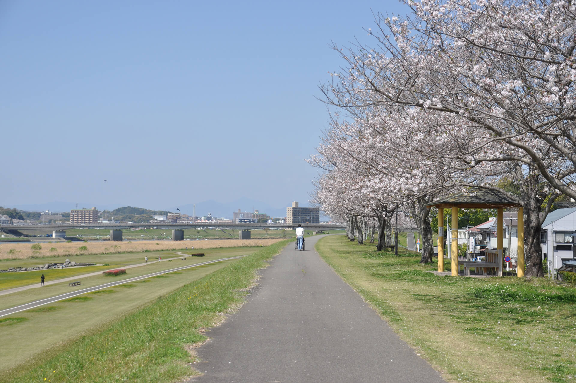 大淀川河川敷