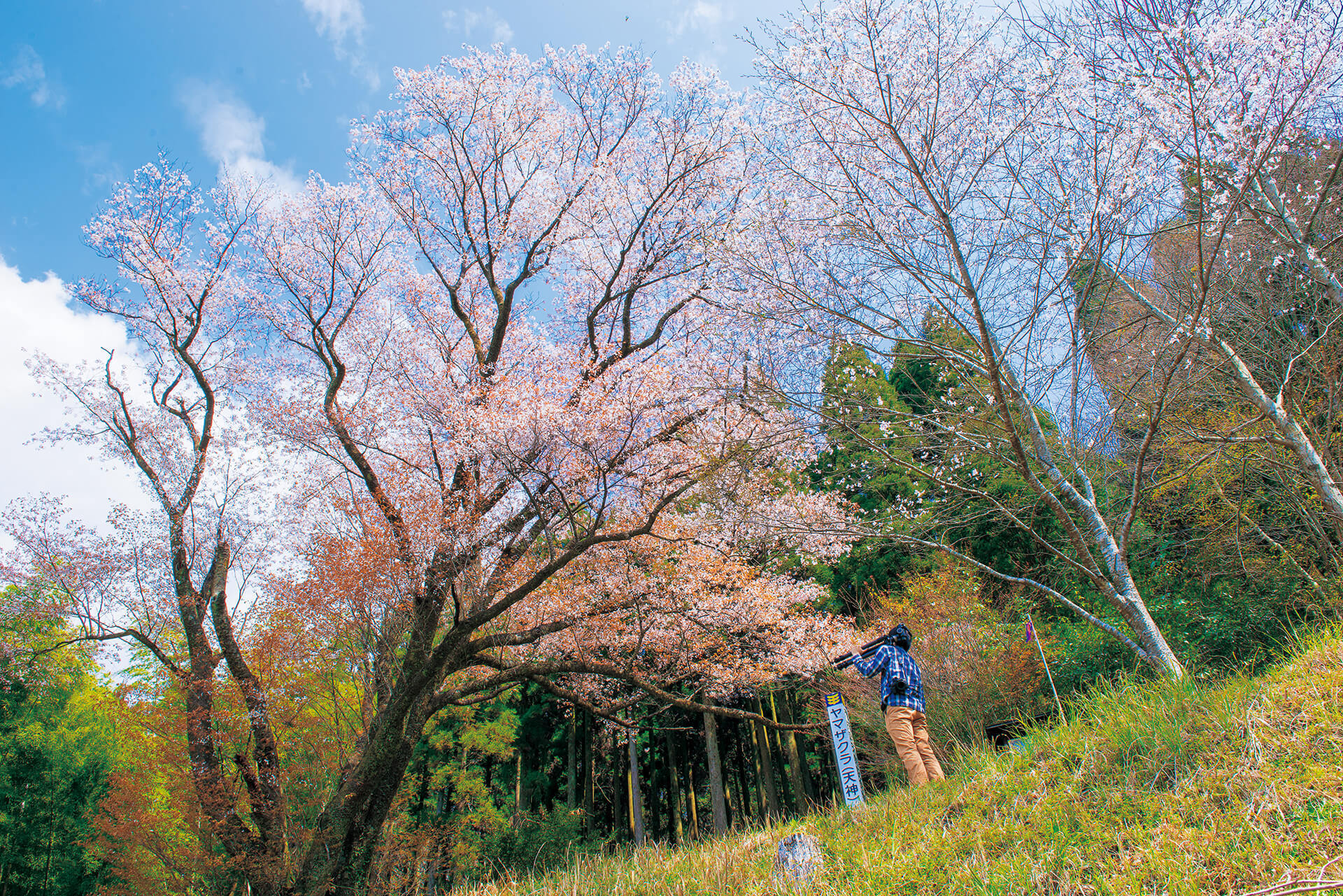 天神山