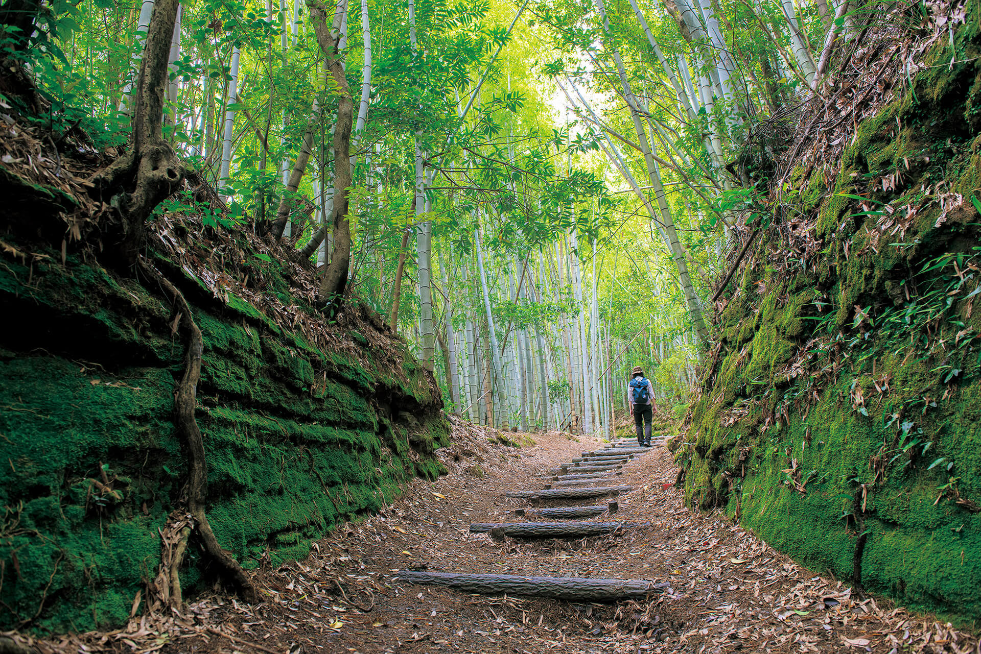 佐土原城跡