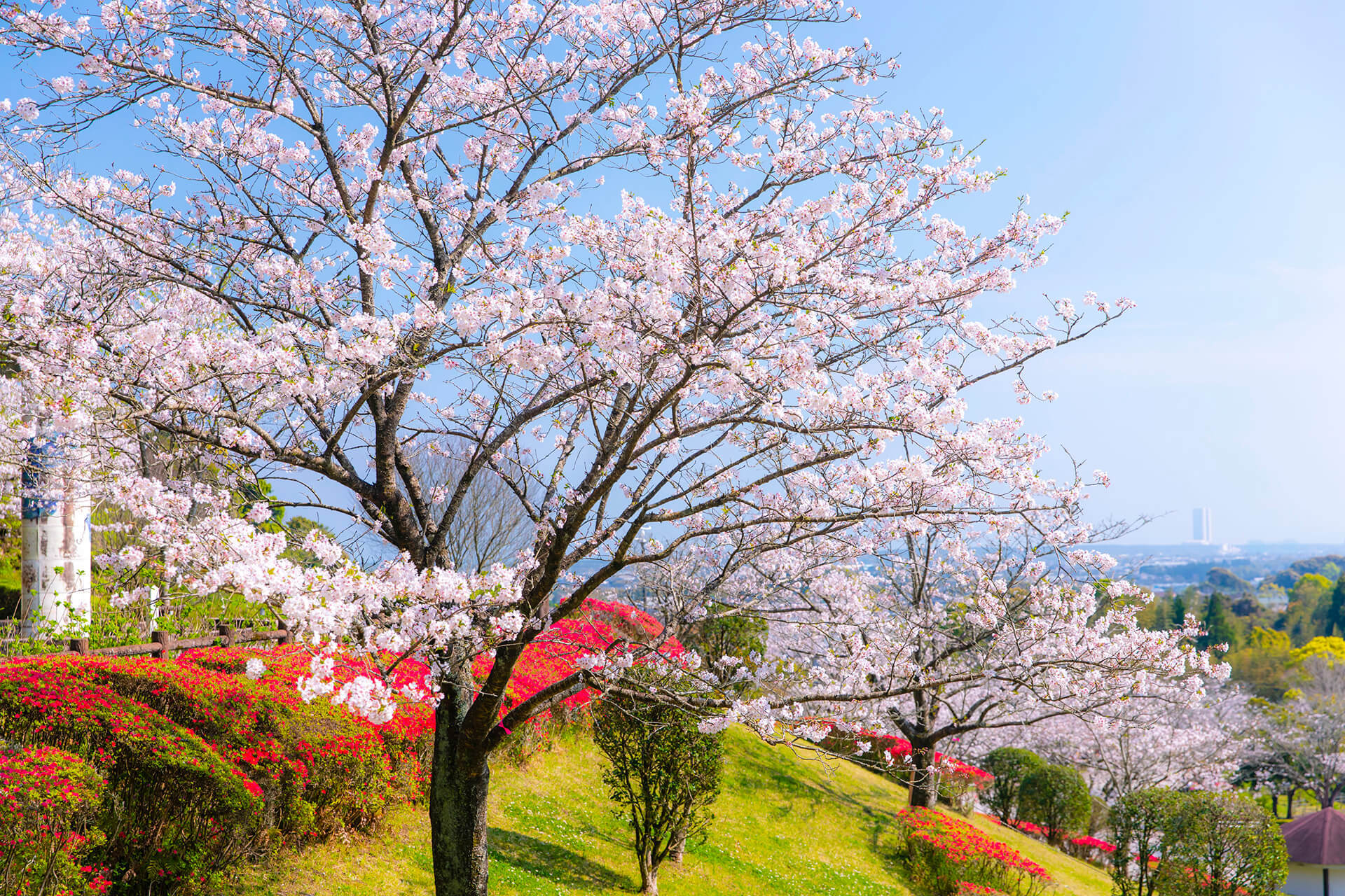 久峰総合公園（佐土原）