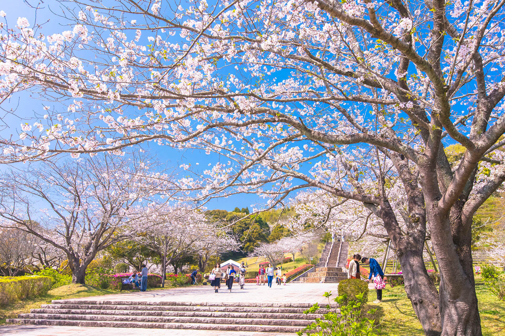 久峰総合公園（佐土原）