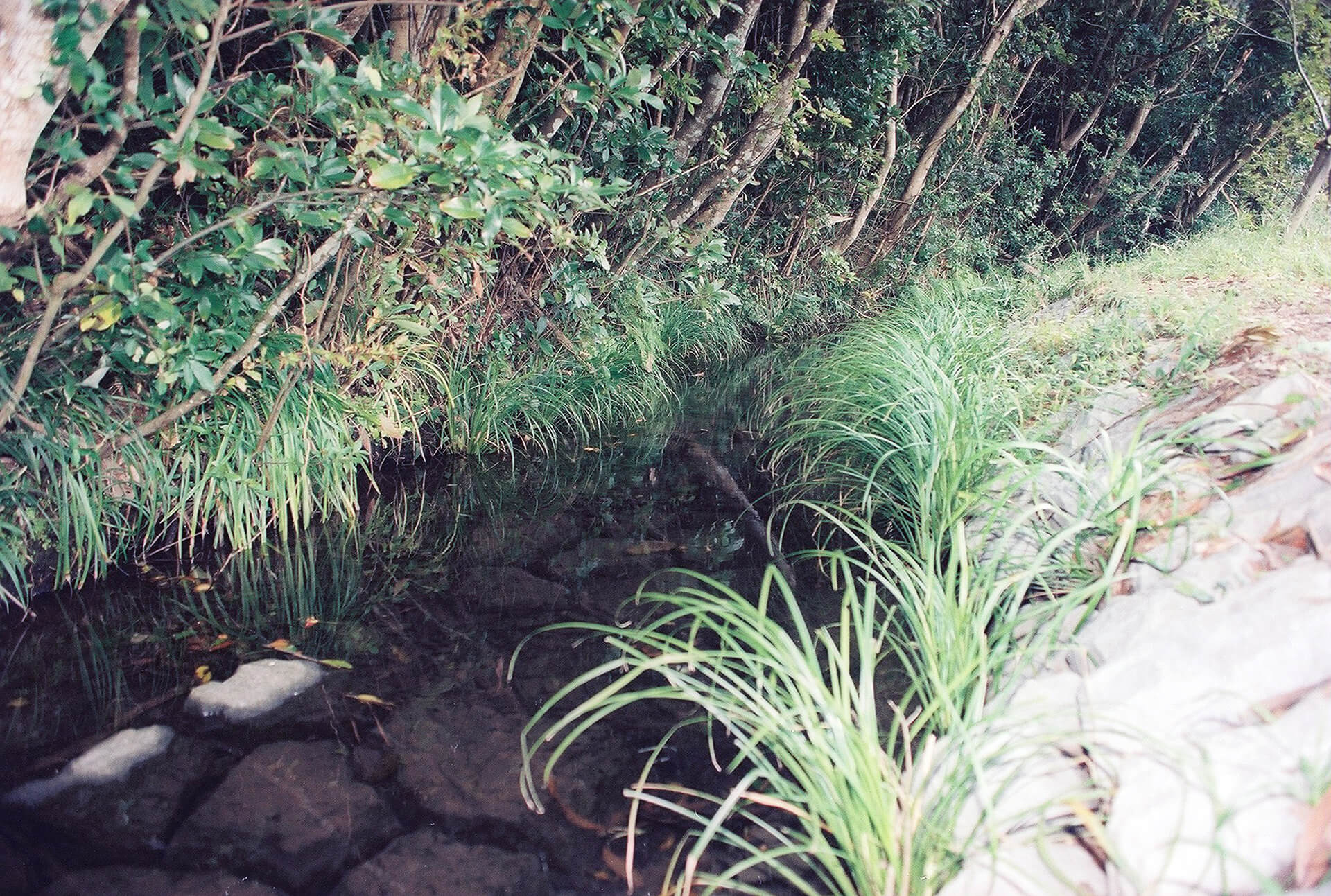 山崎ホタルピア